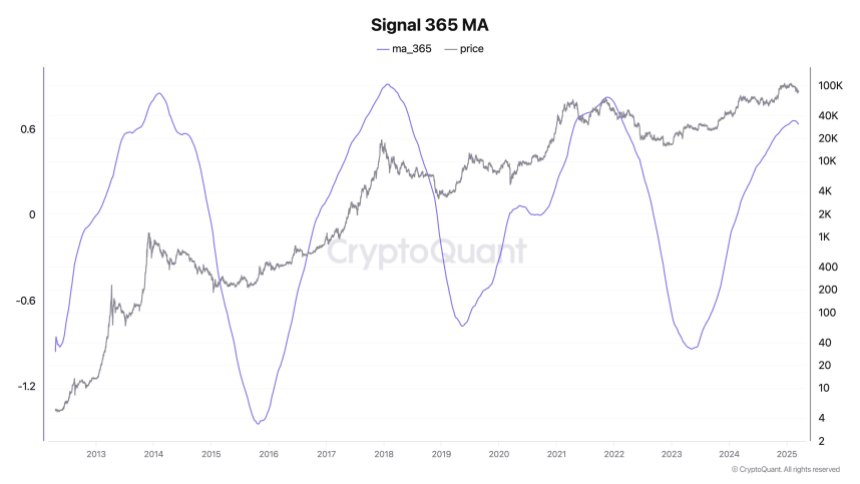 Signal 365 MA